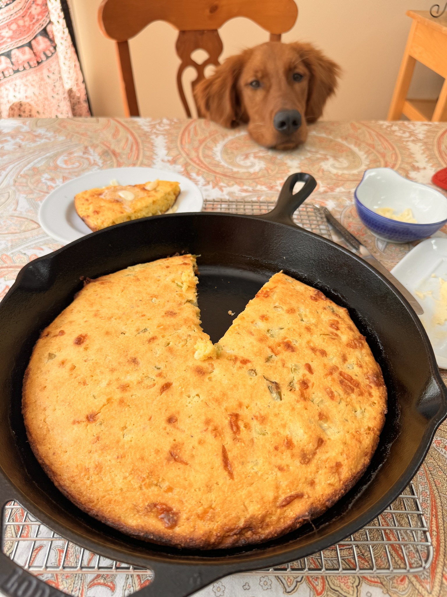 The Best Cheddar Scallion Skillet Cornbread